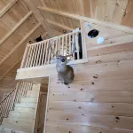 Luxury custom built cabin in the Switzerland of Maine (Jackman)