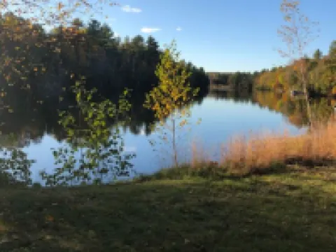Best View on the River 斯蒂芬森酒店