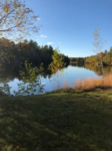 Best View on the River