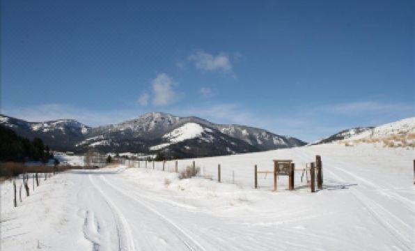1916 Schoolhouse near Yellowstone horse - R 339 206 R5 D