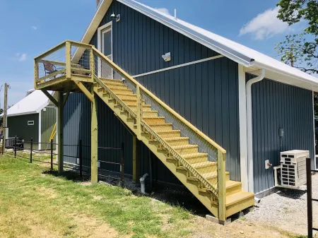 Knotty Squirrel The Nest