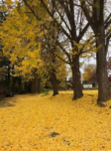 AMAZING HUGE GALLERY APARTMENT + FREE PARKING IN PRIME LOCATION