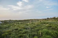 Beautiful Condo steps away from Beach Hoteles en St. Augustine Beach