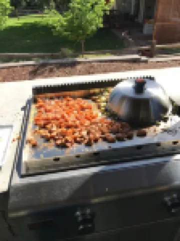 Willow Creek Oasis with Amazing Outdoor Kitchen