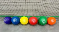 7-Bedroom: Hoops, Pickleball, Movies, Books & Games! - Gym