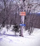 Bear's Den - Mount Snow Townhome - w/ Heated Pool!