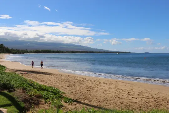 Beautiful Oceanfront Corner Unit