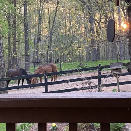 Plan Your Adventure   Extras Available Dinner with Horses or Charcuterie/Wine.