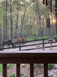 Plan Your Adventure   Extras Available Dinner with Horses or Charcuterie/Wine.
