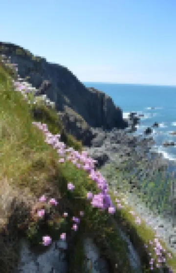 Contemporary Cottage Retreat in Secluded Valley Near Sea. Sleeps 8