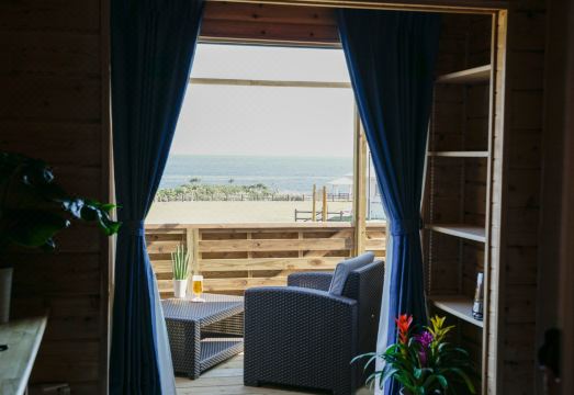 로그 인 타라소 대표 이미지