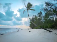 Trikora Beach Glamping - Bãi biển