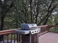 Light filled 3-bedroom cabin with a stone fireplace in magical Idyllwild, CA