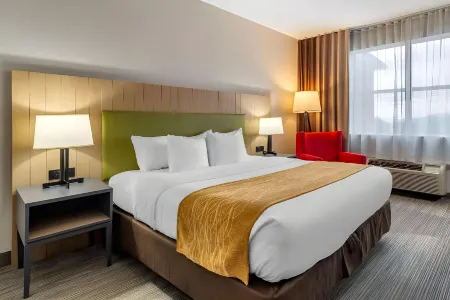 Comfort Inn & Suites Cartersville - Emerson Lake Point