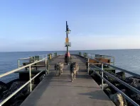 Lakeside Resort Home: Sunsets, fishing, paddling - pet friendly
