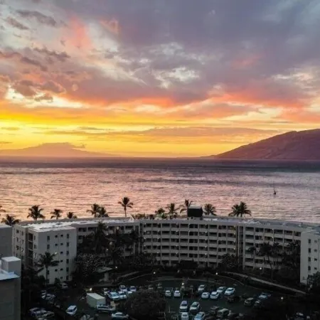 Royal Mauian #219