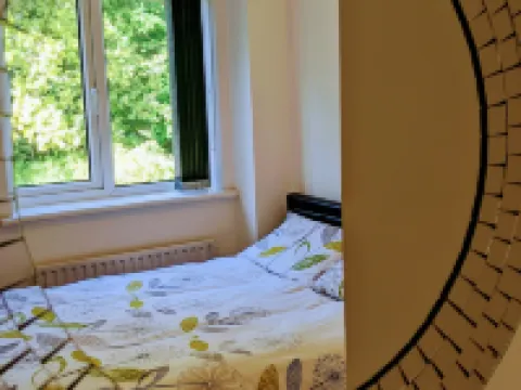 Oaklawn Apartment - Sleeps 4 Parking & Garden Hotels in Woking