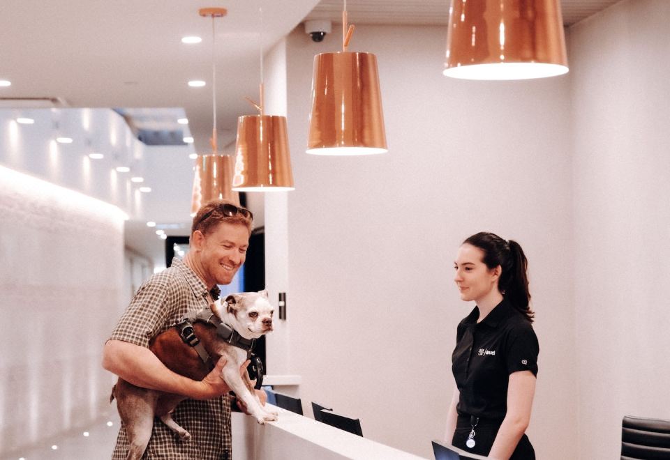 사우스 레이크 유니언