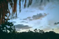 ブルー・ペッパー・ベッド・サユリータ - ホステル - 2つ星