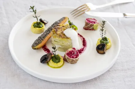 Vegan Health Hotel Sonnenberg