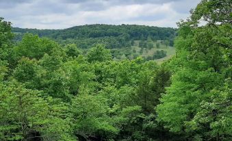 Cherokee Mountain Log Cabin Resort