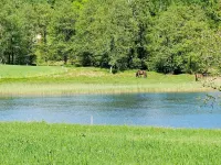 홀리데이 홈 인 울라레드