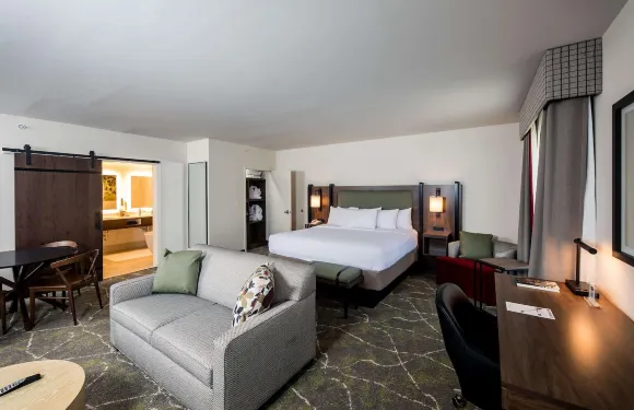 希爾頓歡朋套房酒店-多布森