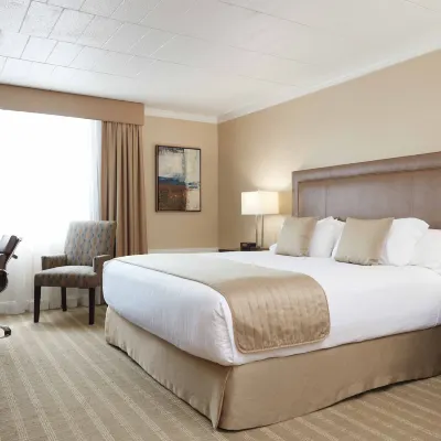 Ethan Allen Hotel Hotels near T.J. Maxx