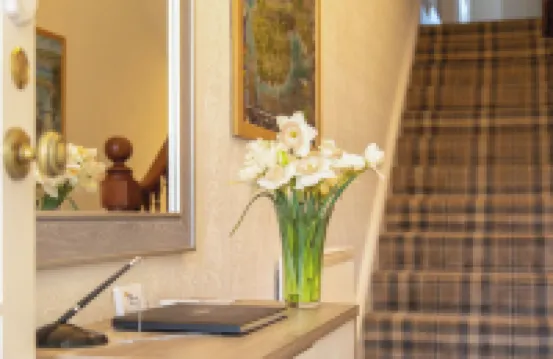 Dunedin Guest House