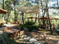 Olympos Tanrilar Kulubu Hotels in Kumluca
