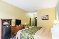 Econo Lodge Darien Hotels in Darien
