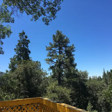 Idyllwild Bunkhouse