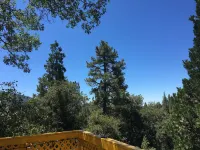 Idyllwild Bunkhouse - Mountain view