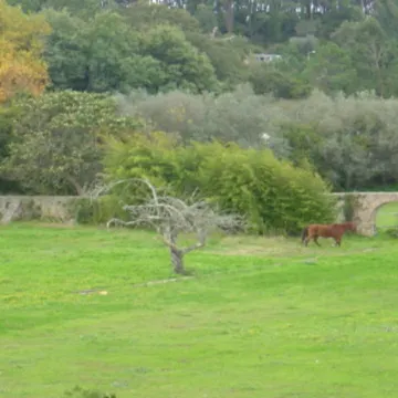 Quinta Do Scoto