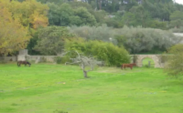 Quinta Do Scoto