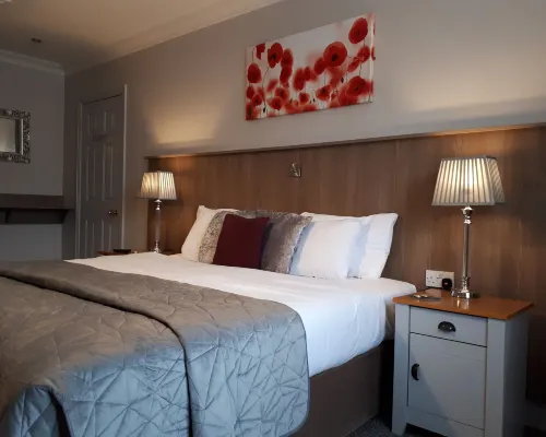 Jim McGee's Hotels in Wexford