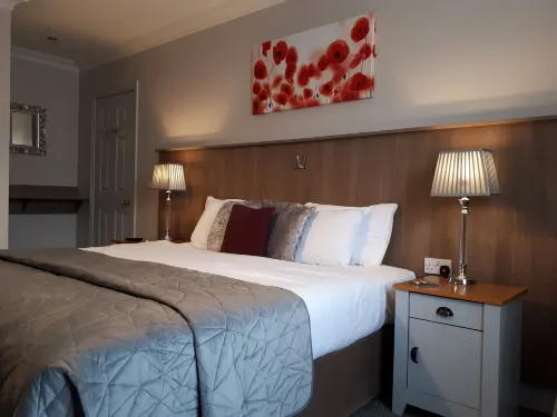 Jim McGee's Hotels in Wexford