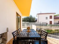 le Mimose