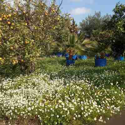 Platon Apartment –Top Floor Others