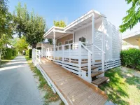 Club Del Sole Stork Family Collection