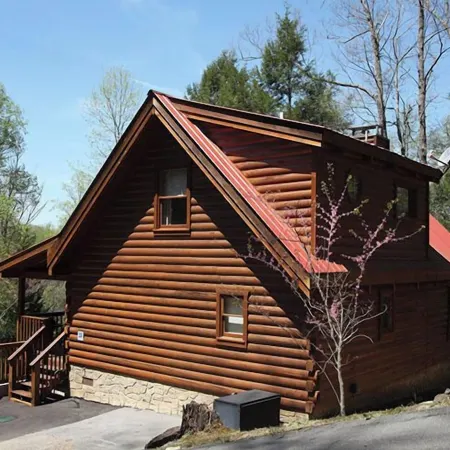 Bear's Den