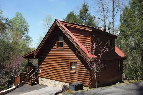 Bear's Den - Hytter