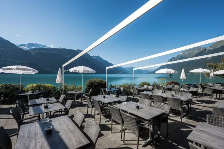 Hotel Brienzerburli Отели в г. Изельтвальд