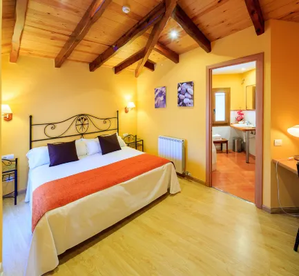 Hotel Ripoll Hotels in Sant Hilari Sacalm