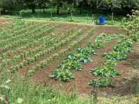 Agroturismo Urresti - Villas