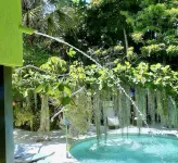 Unique Art Nature Hideaway Walkable to Wilton Drive