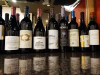 Laerte Palace Hotel 莫利亞諾威尼託酒店