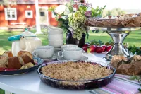 STF Undersvik Gårdshotell & Vandrarhem Hotels in Jarvso