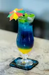 Ezulwini Villa Hotel - bar