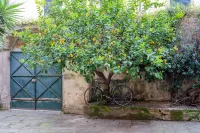 B&B Via Corsica 10民宿 Caravan Palace (Palazzo della Carovana)附近的飯店